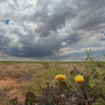 Looking southwest from 11.9 miles west of Oil Center, NM (3:40 pm CDT)