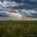 Looking south from 6.6 miles northwest of Capron, OK (5:57 pm CDT)